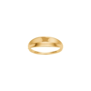 Joanli Forg. S�lv LEAVES52 Ring 10610000900