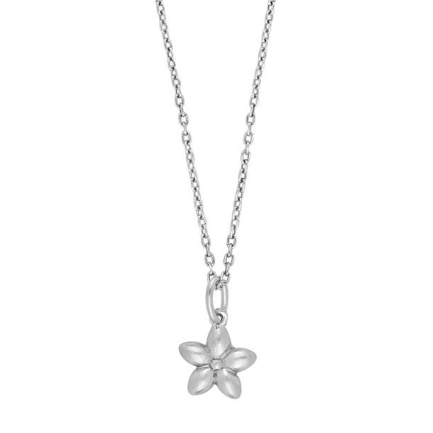 Siersb�l Rhod. S�lv Halsk�de m/Blomst 20121000900