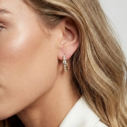 SJ Forg. Sardinien Creolo