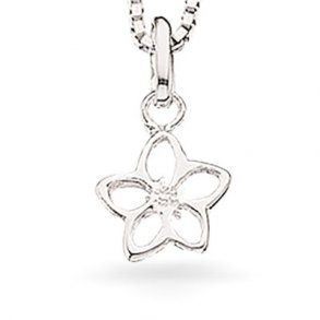 Slv Blomstervedhng m/Kde 223992