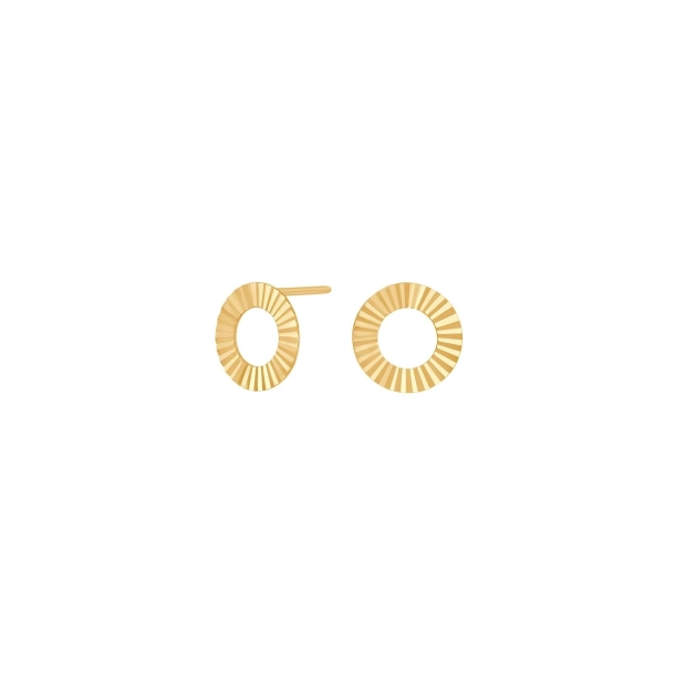 Siersb�l 8kt Guld Cirkel �restikker 30832390300
