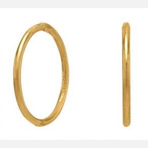 Forgyldte Creoler 22 mm 3108159