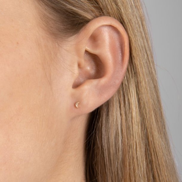 14Kt Mne restik m/0.008ct Diamanter 314 206BR5