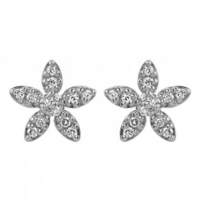 Forget-Me-Not Sparkles restikker 4-004a-R