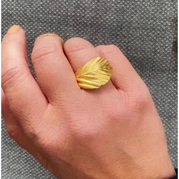 Heiring Faggio Forgyldt Slvring 52-3-65FG