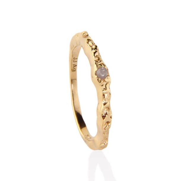 Jeberg Jewellery I AM GOLD Forgyldt Slvring m. Mnesten 60660