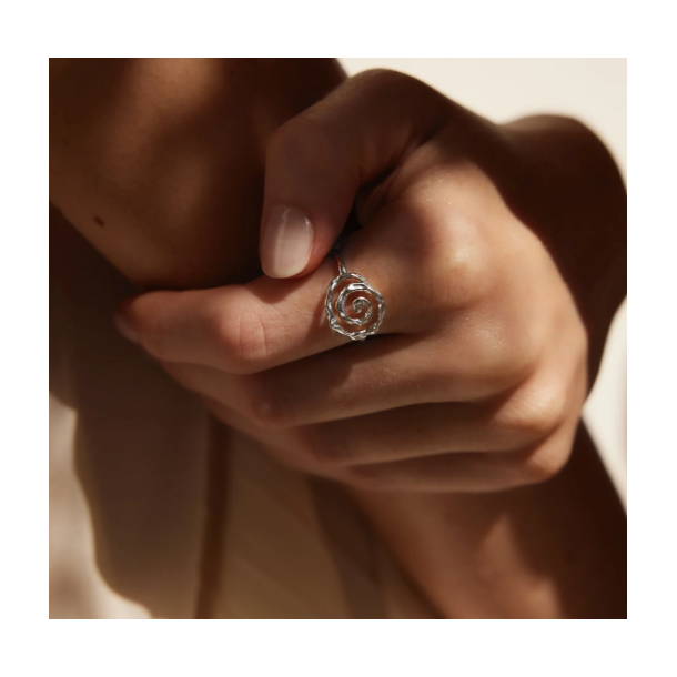 Jeberg Jewellery Pirouette Slvring 61112