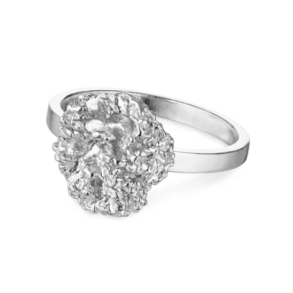 Flora Danica Persille Rhod. Slvring 907.PAR-Ri-S-52