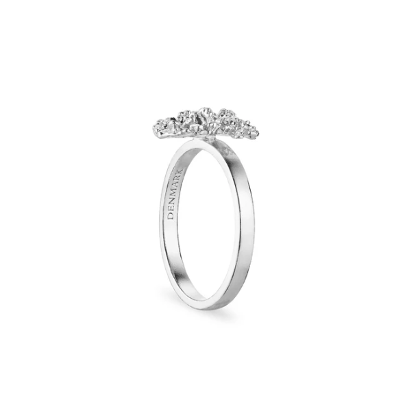 Flora Danica Persille Rhod. Slvring 907.PAR-Ri-S-52