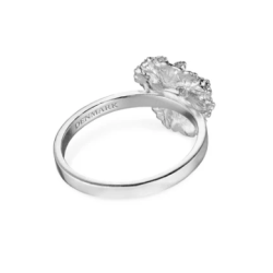 Flora Danica Persille Rhod. Slvring 907.PAR-Ri-S-52