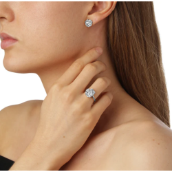 Flora Danica Persille Rhod. Slvring 907.PAR-Ri-S-52