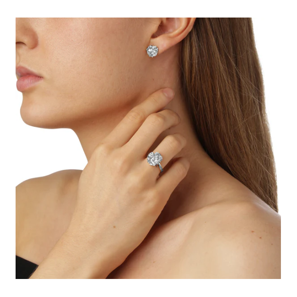 Flora Danica Persille Rhod. Slvring 907.PAR-Ri-S-52