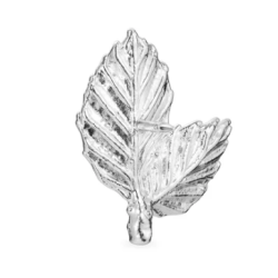 Flora Danica Bgeblad Slv Pin 907.BL-Pi-S