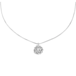 Flora Danica Dild Rhod. Slv Halskde 907.DF-Ne-S