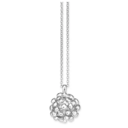 Flora Danica Dild Rhod. Slv Halskde 907.DF-Ne-S