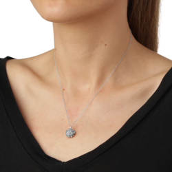 Flora Danica Dild Rhod. Slv Halskde 907.DF-Ne-S