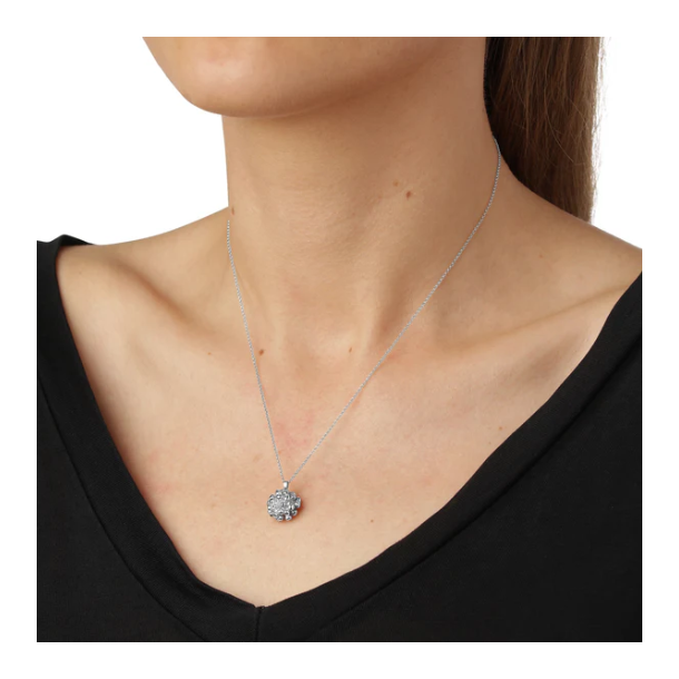 Flora Danica Dild Rhod. Slv Halskde 907.DF-Ne-S