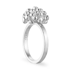 Flora Danica Dild Rhod. Slvring 907.DF-Ri-S-56