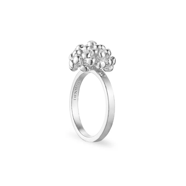 Flora Danica Dild Rhod. Slvring 907.DF-Ri-S-56