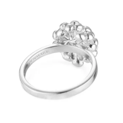 Flora Danica Dild Rhod. Slvring 907.DF-Ri-S-56