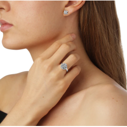 Flora Danica Dild Rhod. Slvring 907.DF-Ri-S-56