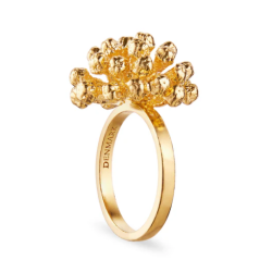 Flora Danica Dild Forgyldt Slvring 907.DF-StRi-G-52