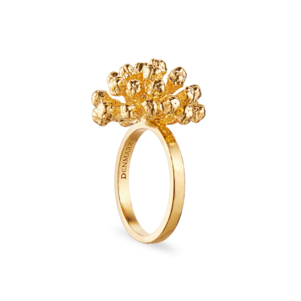 Flora Danica Dild Forgyldt Slvring 907.DF-StRi-G-52