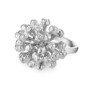 Flora Danica Dild Rhod. Slvring 907.DF-StRi-S-54