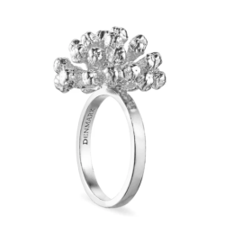 Flora Danica Dild Rhod. Slvring 907.DF-StRi-S-54