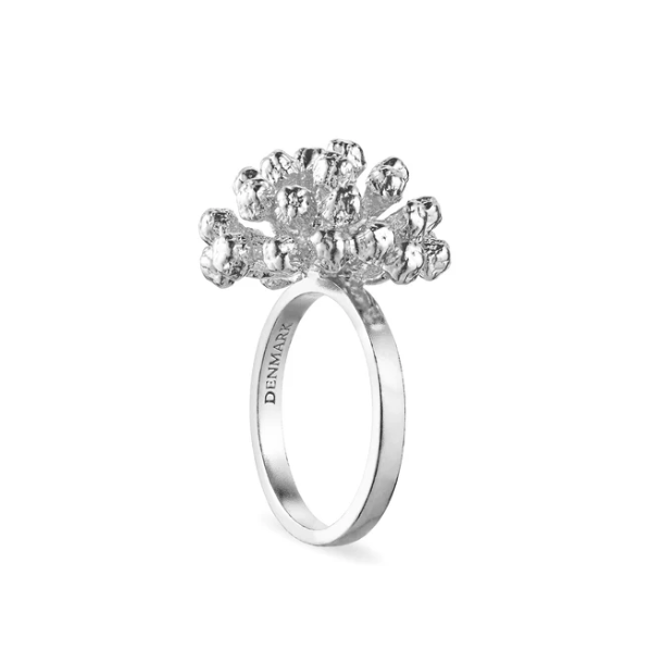 Flora Danica Dild Rhod. Slvring 907.DF-StRi-S-54