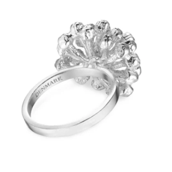 Flora Danica Dild Rhod. Slvring 907.DF-StRi-S-54