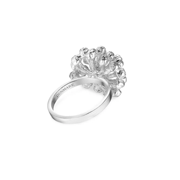 Flora Danica Dild Rhod. Slvring 907.DF-StRi-S-54