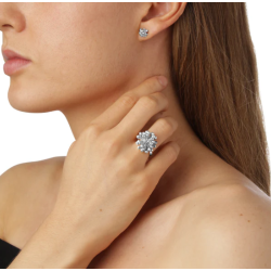 Flora Danica Dild Rhod. Slvring 907.DF-StRi-S-54