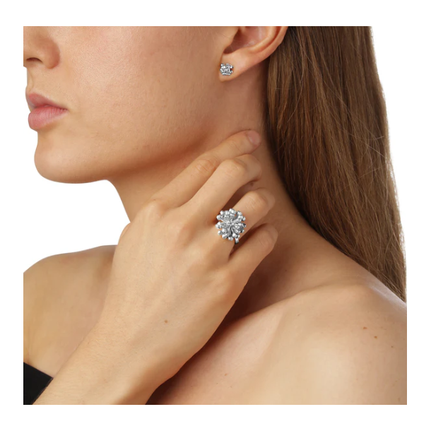 Flora Danica Dild Rhod. Slvring 907.DF-StRi-S-54