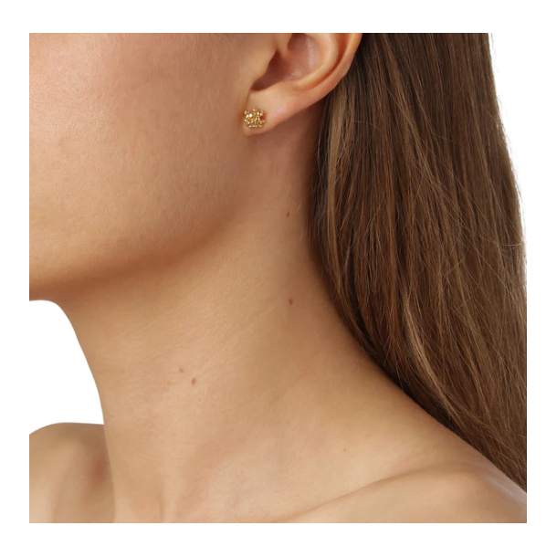 Flora Danica Dild Forgyldt Slv restikker 907.DF-StPc-G