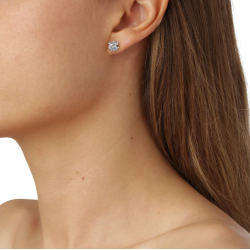 Flora Danica Dild Rhod. Slv restikker 907.DF-StPc-S