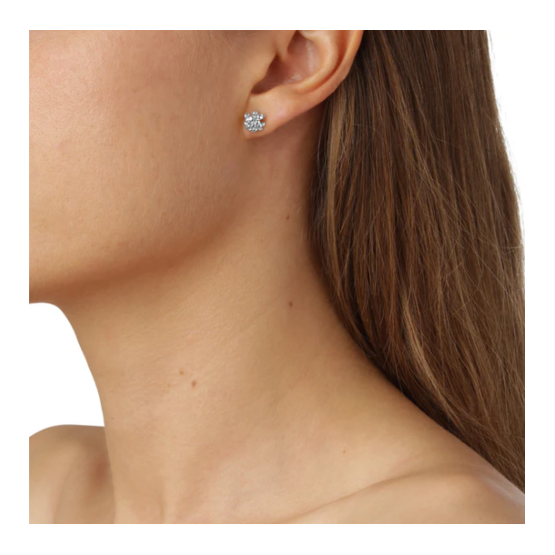 Flora Danica Dild Rhod. Slv restikker 907.DF-StPc-S