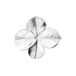 Flora Danica Firklver Slv Hrspnde 907.FLC-HP-G