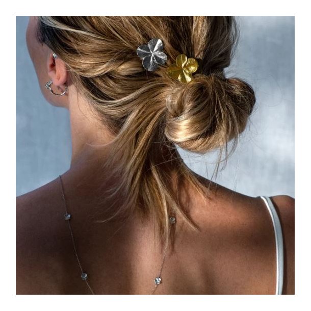 Flora Danica Firklver Slv Hrspnde 907.FLC-HP-G