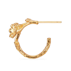 Flora Danica Forglemmigej Forgyldt Slv Creoler 907.FMN-HoPc-G