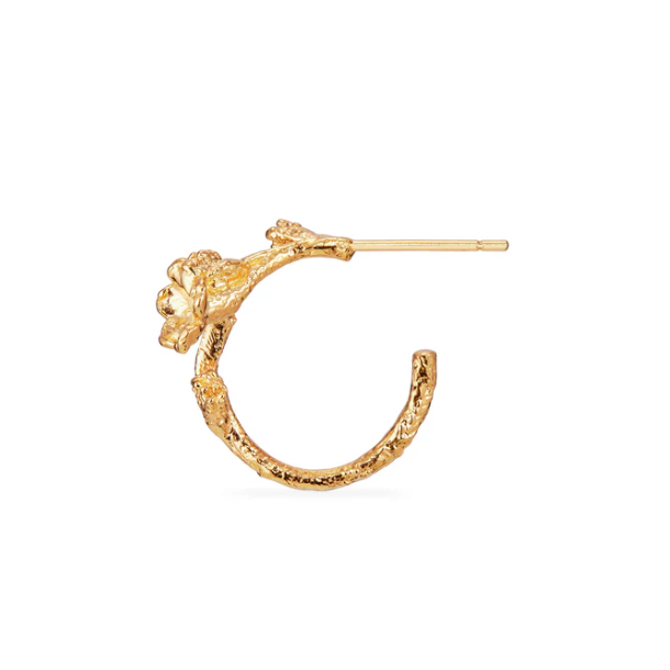 Flora Danica Forglemmigej Forgyldt Slv Creoler 907.FMN-HoPc-G