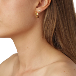 Flora Danica Forglemmigej Forgyldt Slv Creoler 907.FMN-HoPc-G