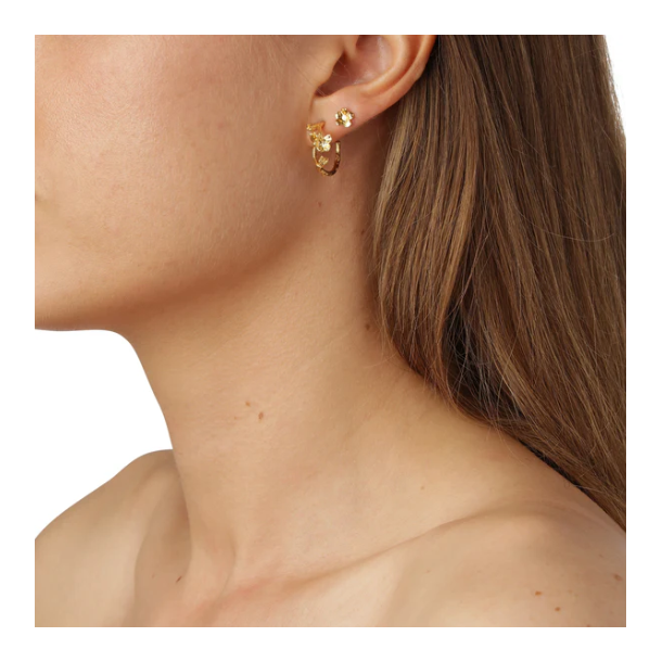 Flora Danica Forglemmigej Forgyldt Slv Creoler 907.FMN-HoPc-G