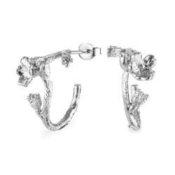 Flora Danica Forglemmigej Rhod. Slv Creoler 907.FMN-HoPc-S