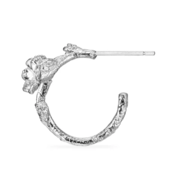 Flora Danica Forglemmigej Rhod. Slv Creoler 907.FMN-HoPc-S