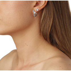 Flora Danica Forglemmigej Rhod. Slv Creoler 907.FMN-HoPc-S