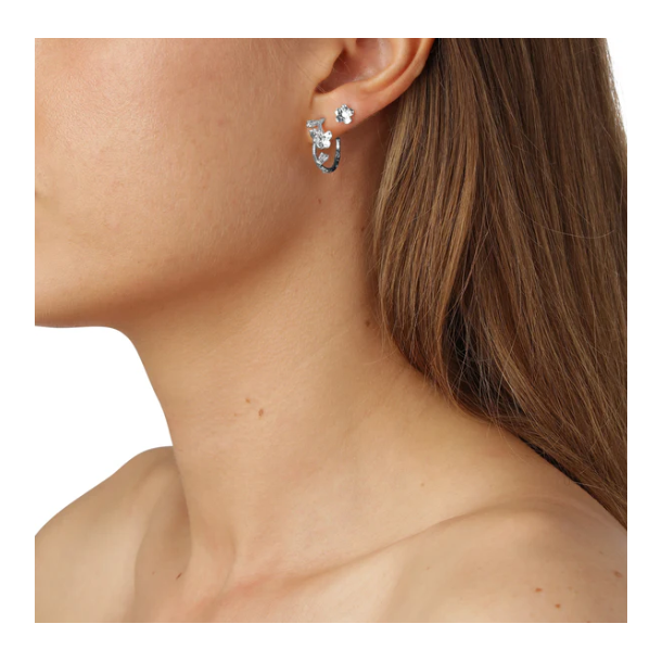 Flora Danica Forglemmigej Rhod. Slv Creoler 907.FMN-HoPc-S