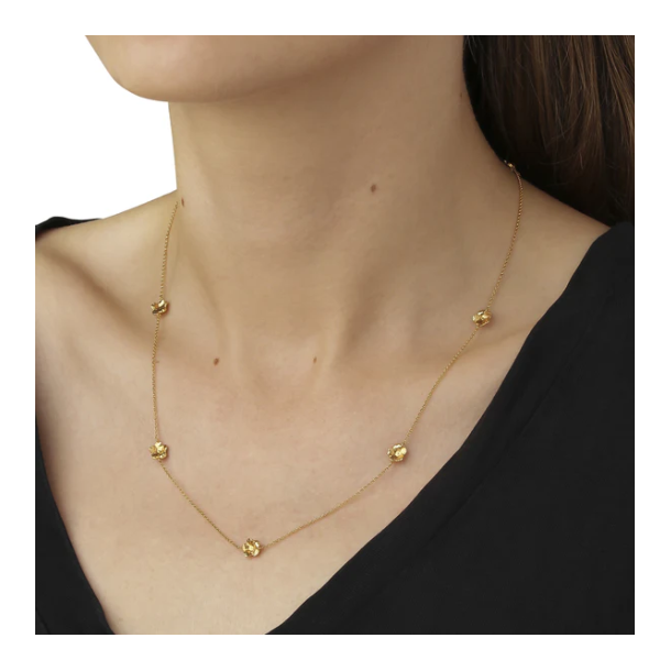 Flora Danica Forglemmigej Forgyldt Slv Halskde 907.FMN-Ne-G