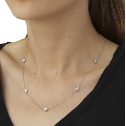 Flora Danica Forglemmigej Rhod. Slv Halskde 907.FMN-Ne-S