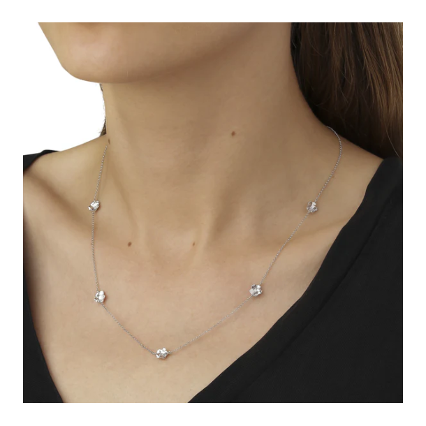 Flora Danica Forglemmigej Rhod. Slv Halskde 907.FMN-Ne-S